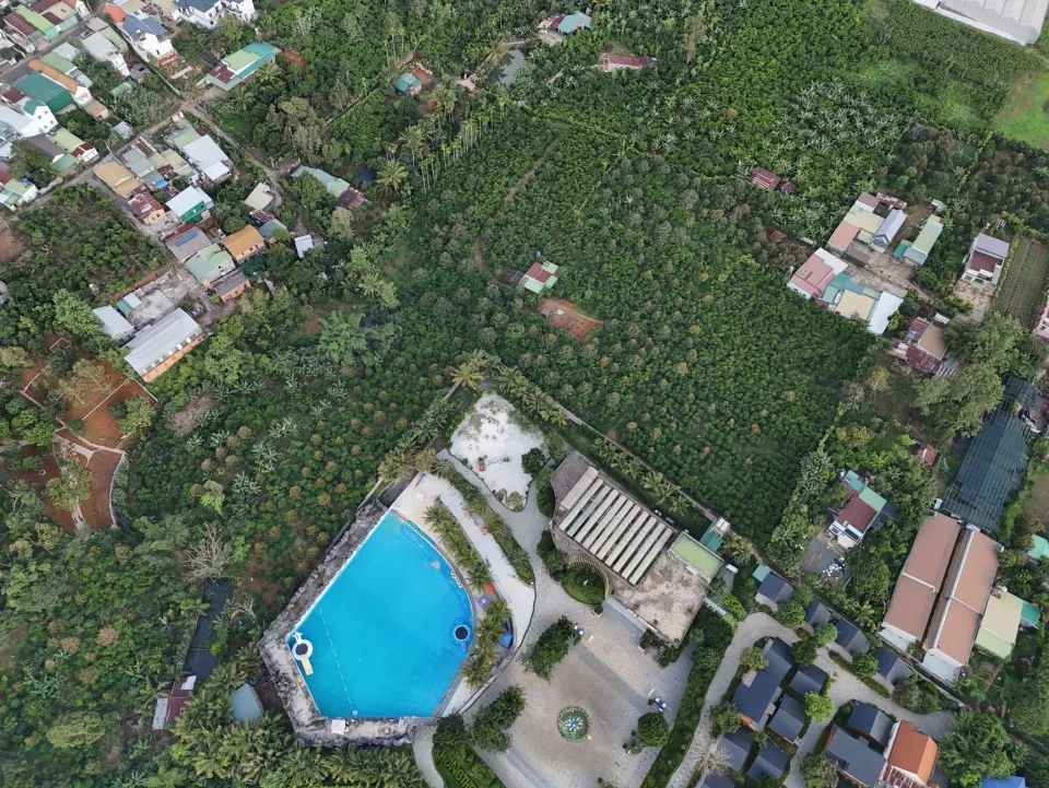 Tại Trương Thị Cúc